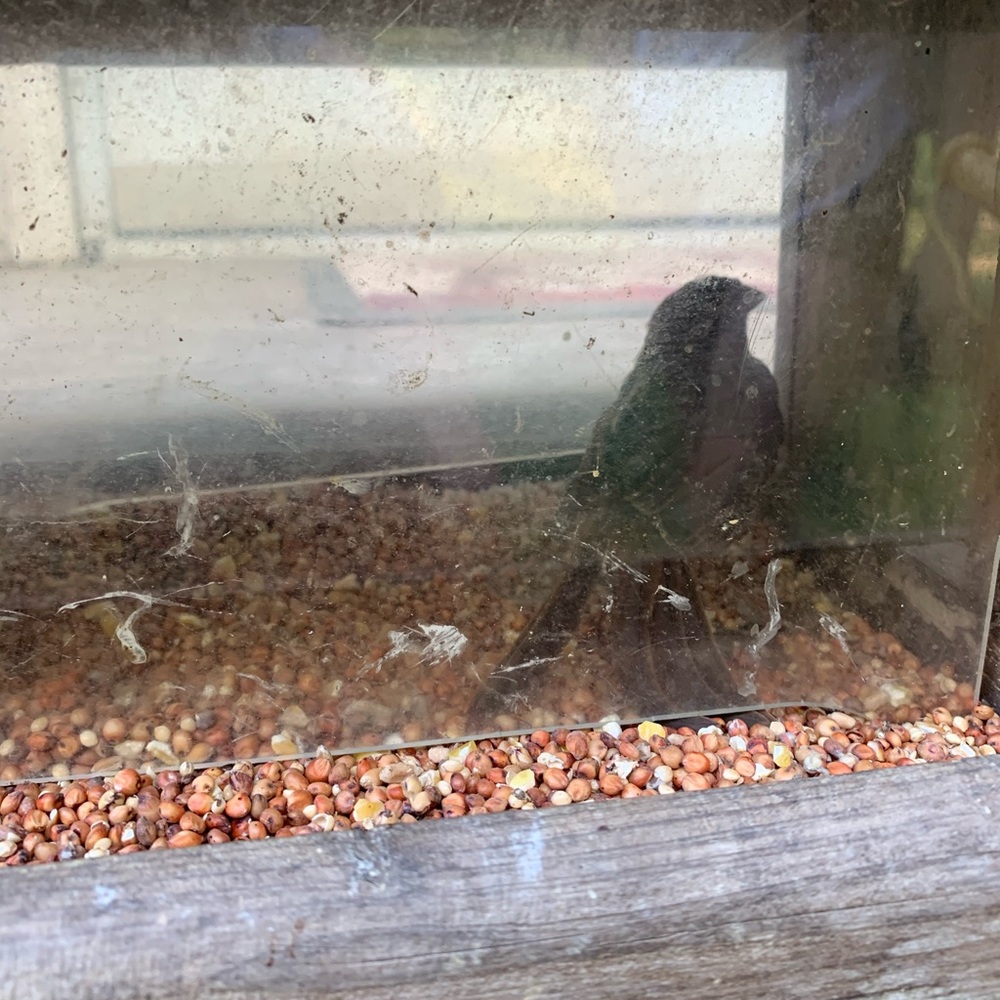 Meet your Posher, Diane